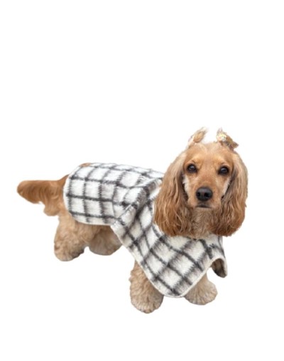 Ruana para mascotas sin capota Berriondita 