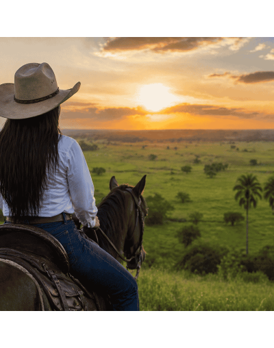 Ruta Safari Llanero — 3 Días / 2 Noches