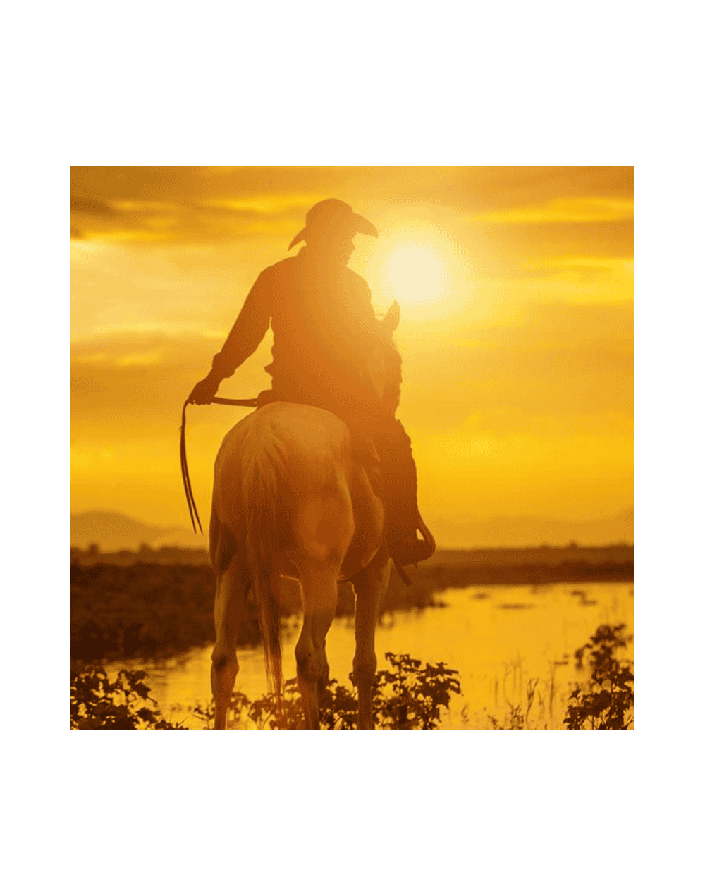 Ruta Safari Llanero — 3 Días / 2 Noches