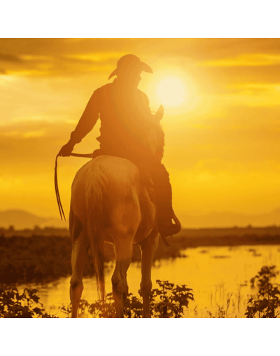 Semana Santa en el Llano — 5 Días / 4 Noches