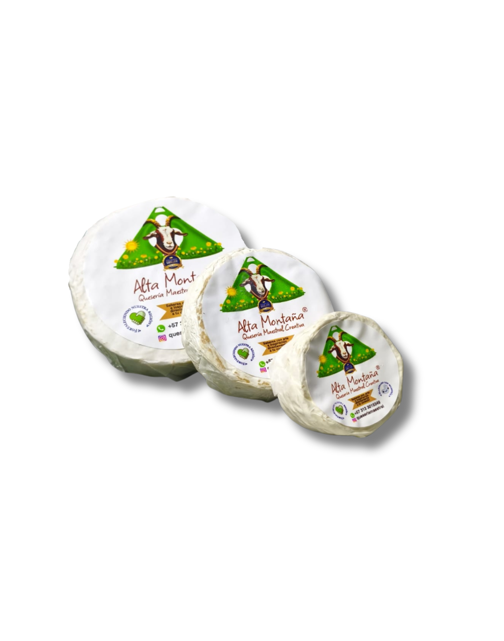 Queso Brie