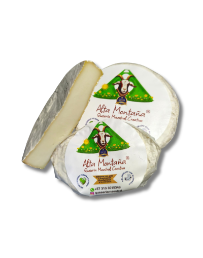 Queso Camembert