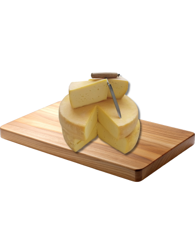 Queso Gouda
