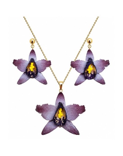 Set orquídea catleya violeta