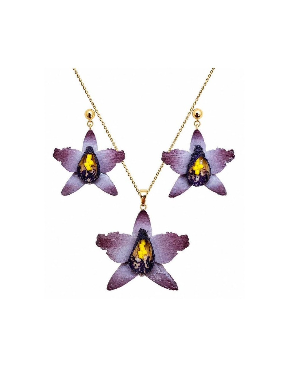 Set orquídea catleya violeta