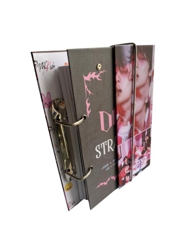 Folder tipo D con portada removible 250 hojas