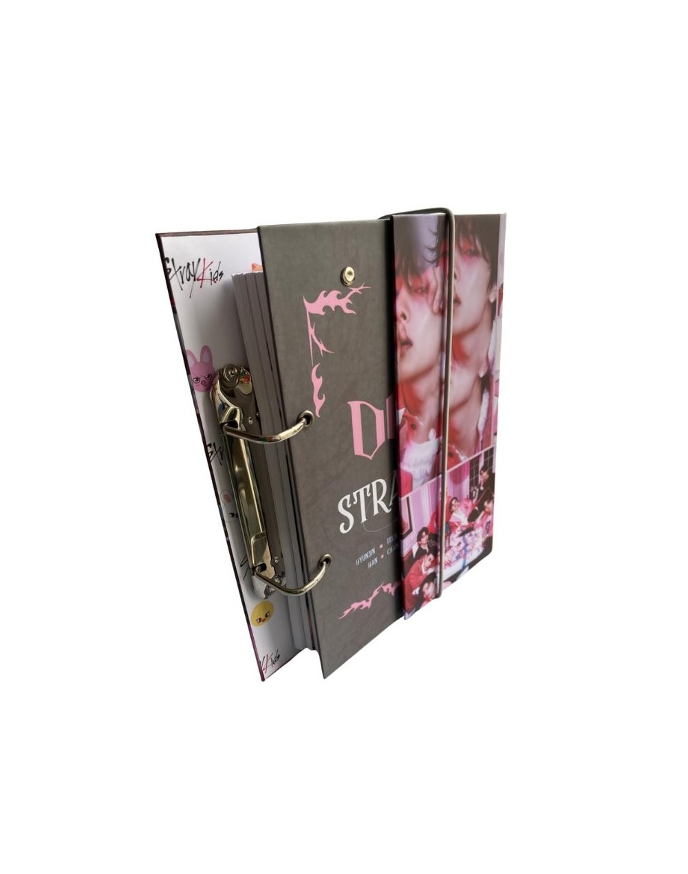 Folder tipo D con portada removible 250 hojas