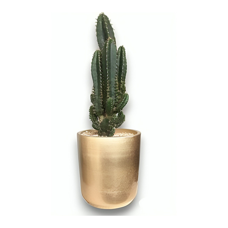 Cactus alto en matera cerámica.