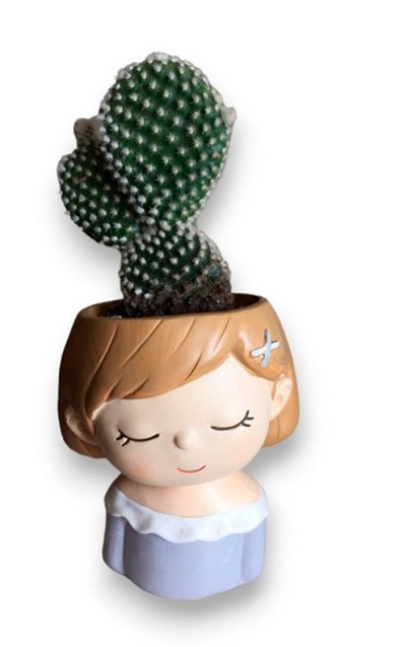 Cactus muñeca dulce.