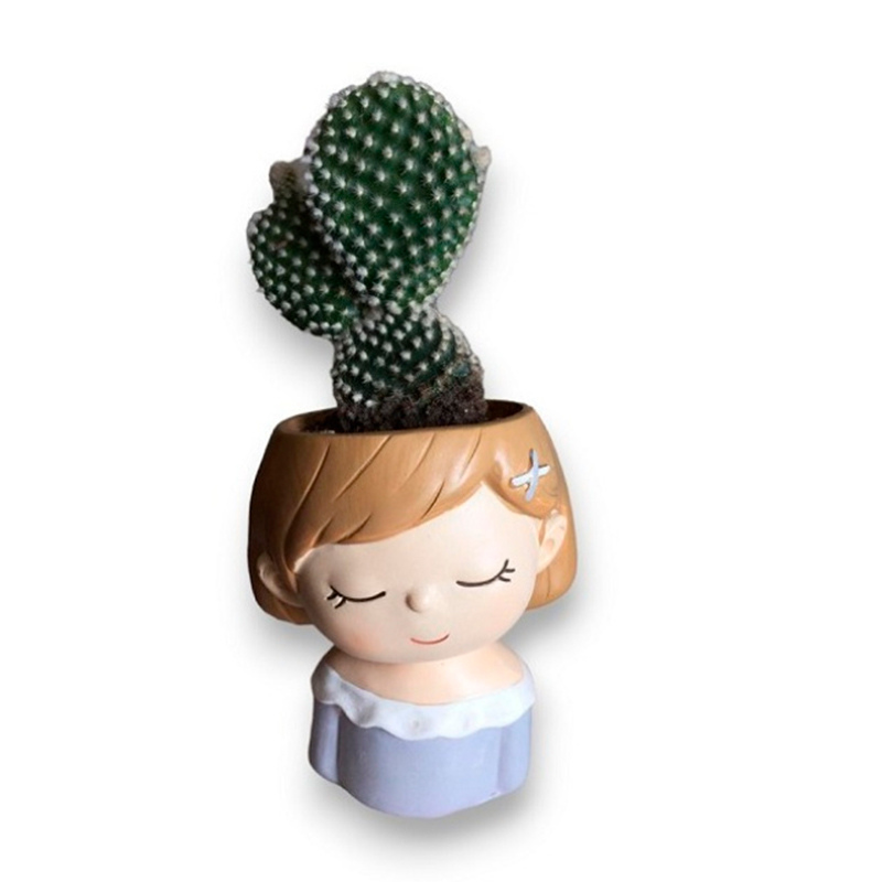 Cactus muñeca dulce.