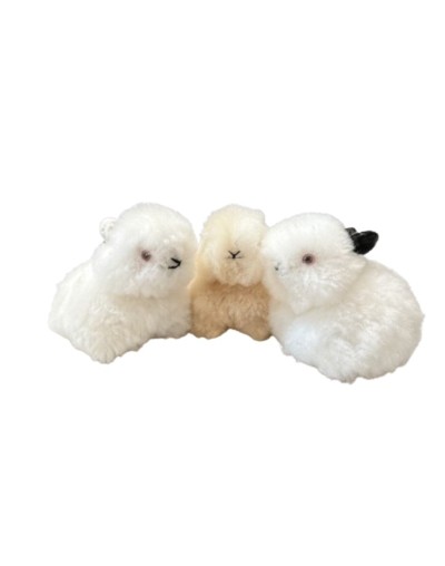 Conejos 