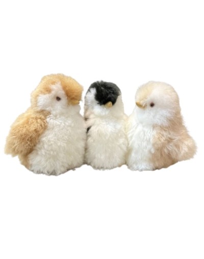Pingüino pequeño
