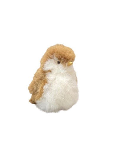 Pingüino pequeño