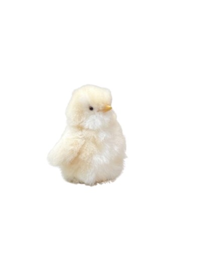 Pingüino pequeño