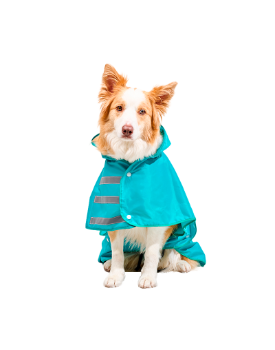 Capa Impermeable para Perro (L) Aguamarina