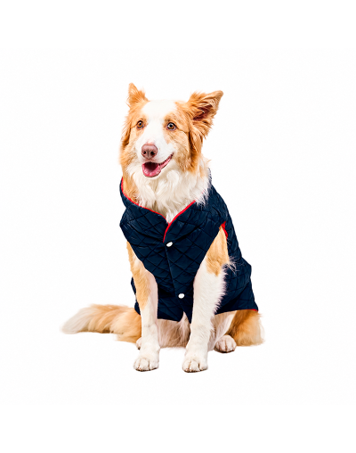 Chaleco Impermeable para Perro Doble Faz (M) Rojo con Azul Marino