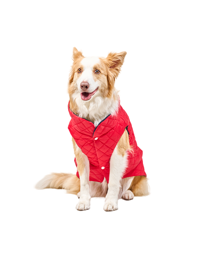 Chaleco Impermeable para Perro Doble Faz (3XL) Rojo con Azul Marino
