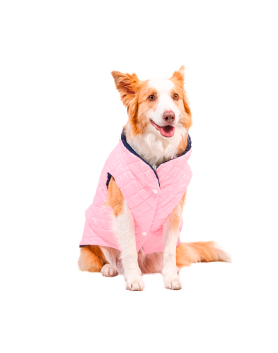 Chaleco Impermeable para Perro Doble Faz (L) Rosado con Azul marino