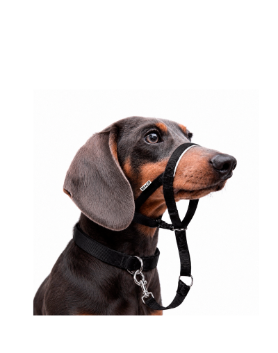 Collar Halti para Perro (S) Marca Braco