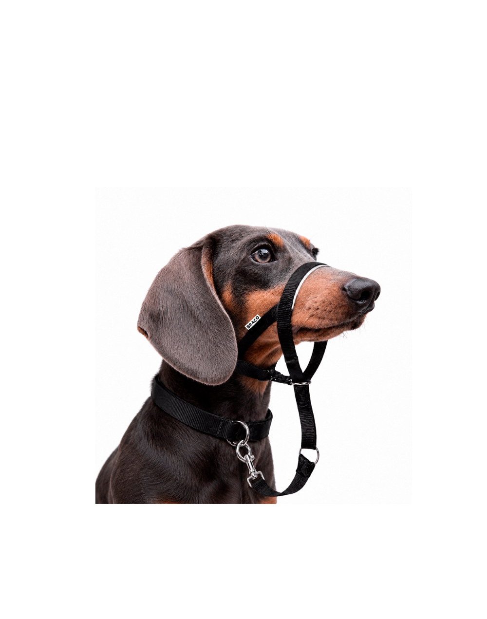 Collar Halti para Perro (S) Marca Braco