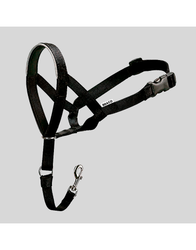 Collar Halti para Perro (S) Marca Braco
