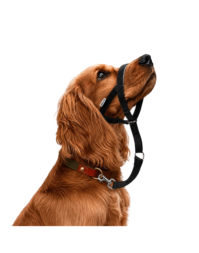 Collar Halti para Perro (M) Marca Braco