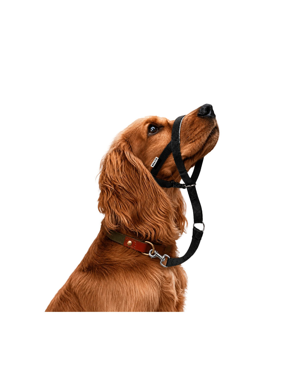 Collar Halti para Perro (M) Marca Braco