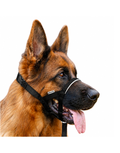 Collar Halti para Perro (L) Marca Braco
