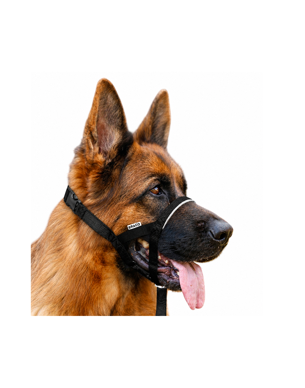 Collar Halti para Perro (L) Marca Braco