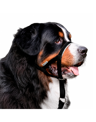 Collar Halti para Perro (XL) Marca Braco