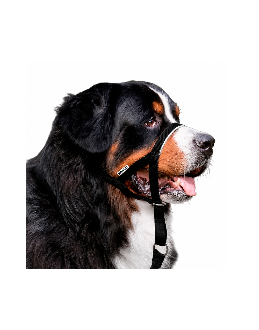 Collar Halti para Perro (XL) Marca Braco