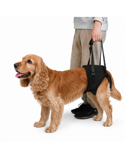SOPORTE DE CADERA PARA PERRO (M) Marca Braco