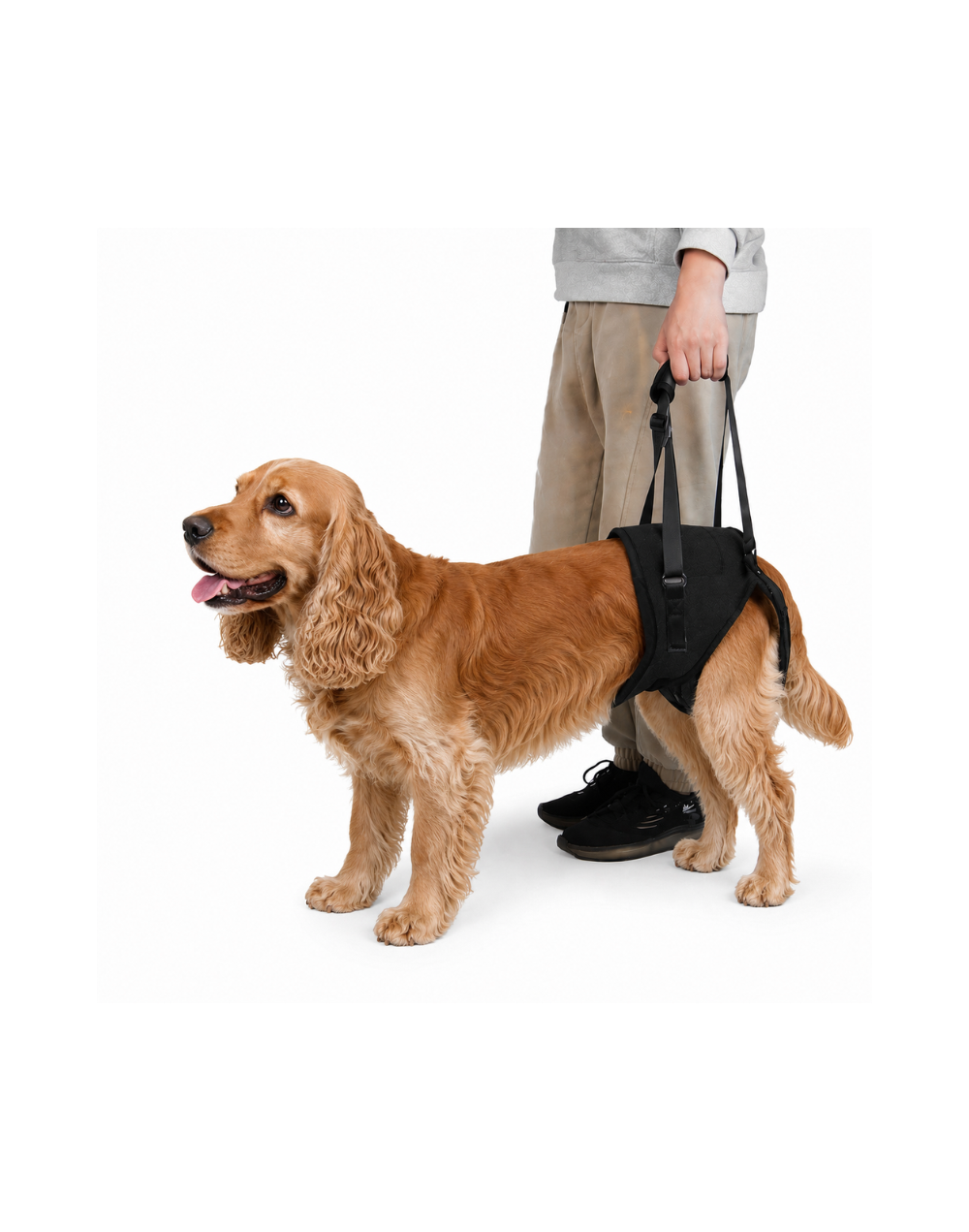 SOPORTE DE CADERA PARA PERRO (M) Marca Braco