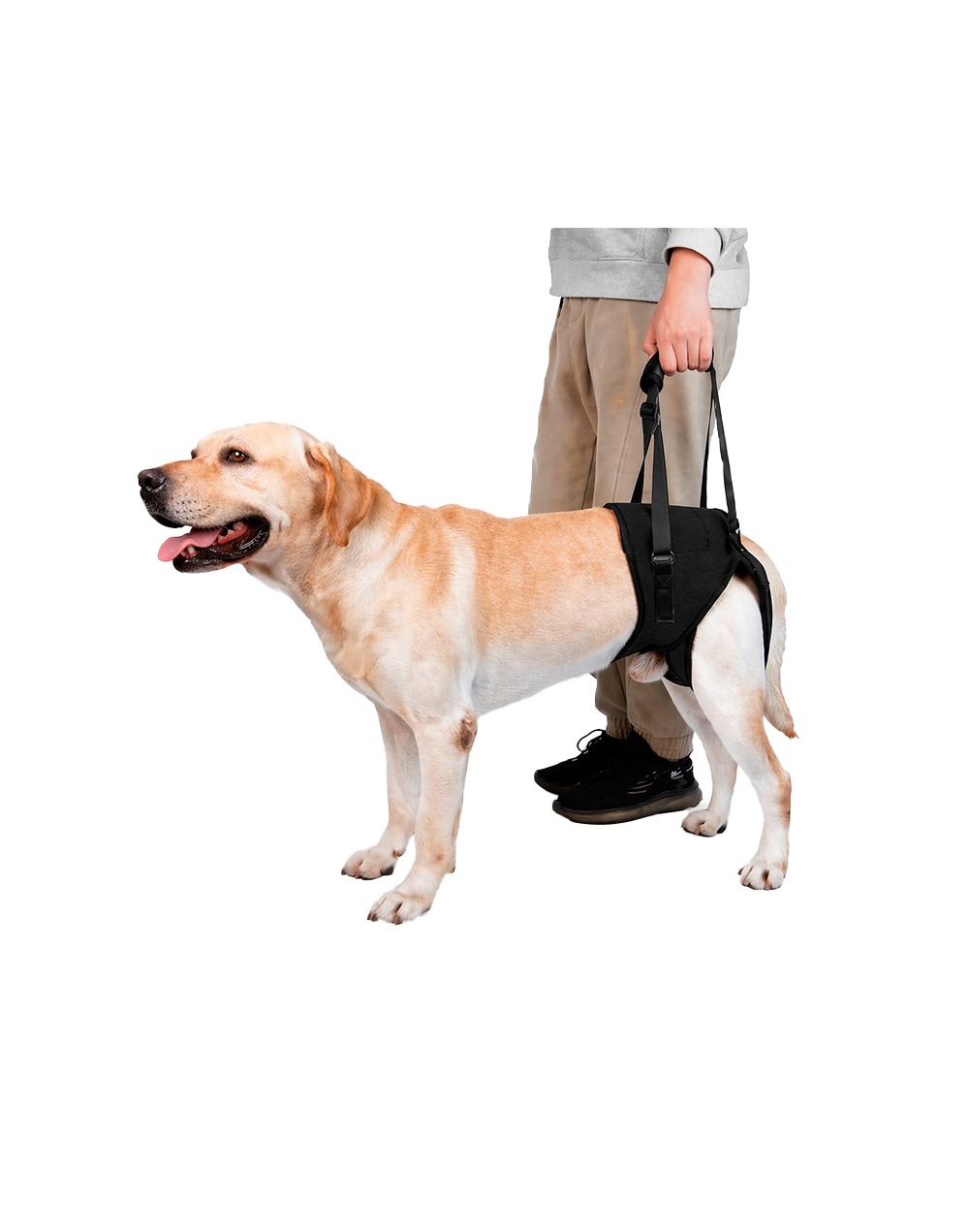 SOPORTE DE CADERA PARA PERRO (L/XL) Marca Braco