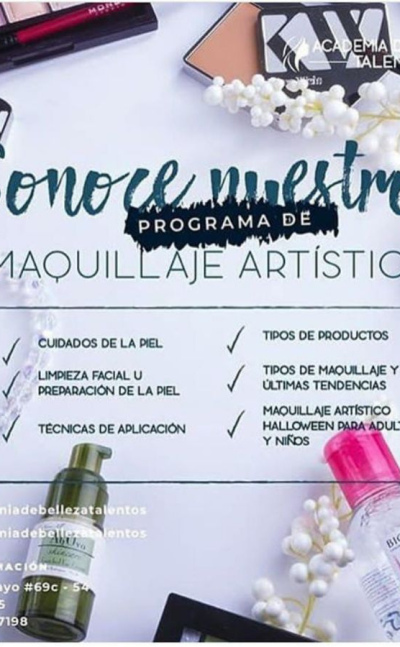 Programa de maquillaje artistico
