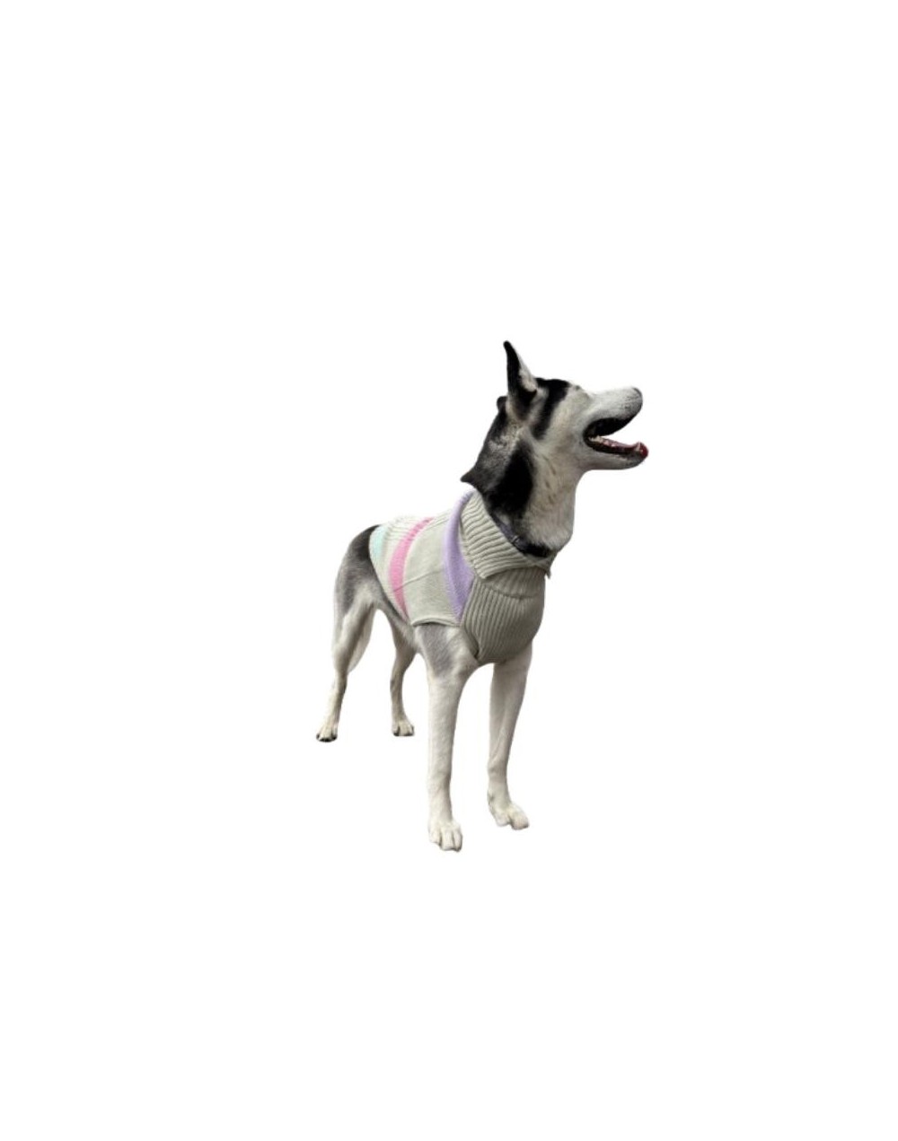 Sueter tejido para mascotas grandes