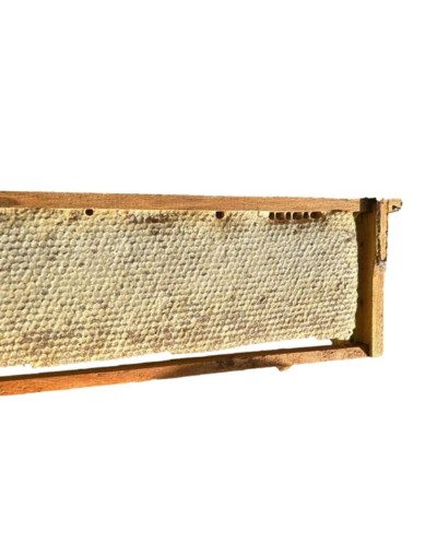 Cuadro de panal.