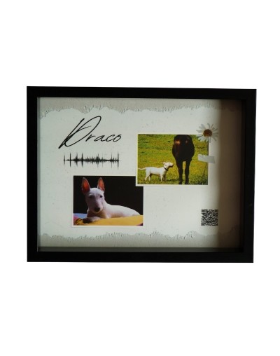 Cuadro Memorial Mascota con Arte Sonoro · Crea Artsound Pets Bogotá