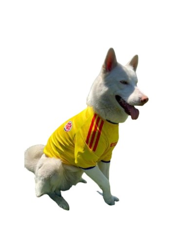 CAMISETA SELECCIÓN COLOMBIA