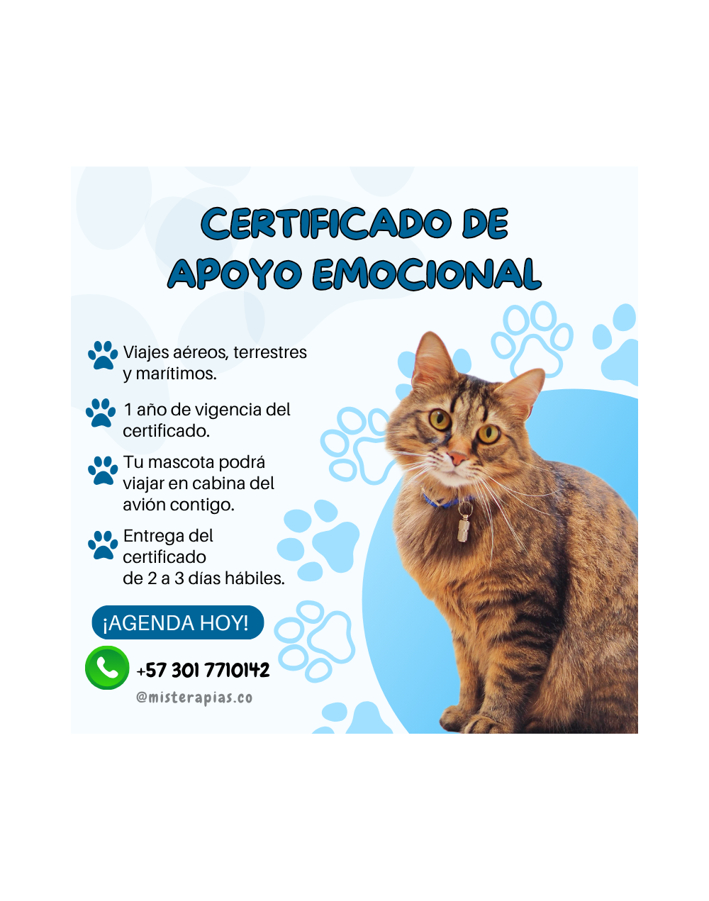 Certificado de apoyo emocional para mascotas