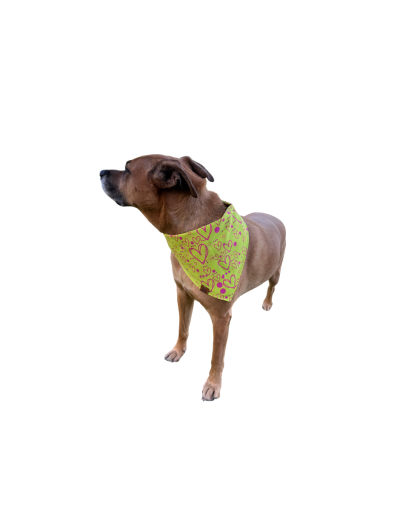 Pañoleta para perros y gatos Corazones | Hanker Pets by Cotton Snacks