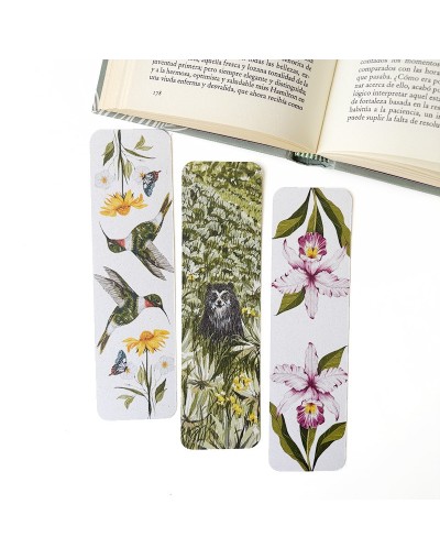 Separador de Libros