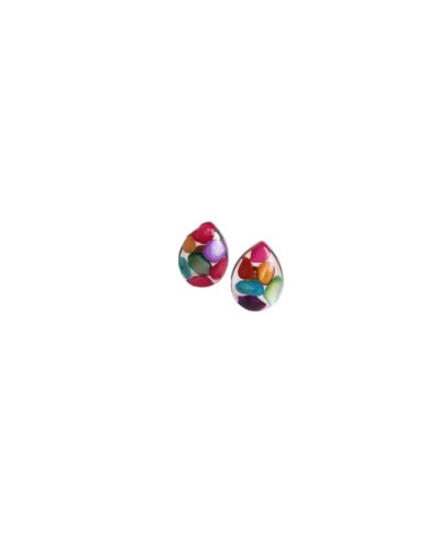 Set  de conchitas de colores 