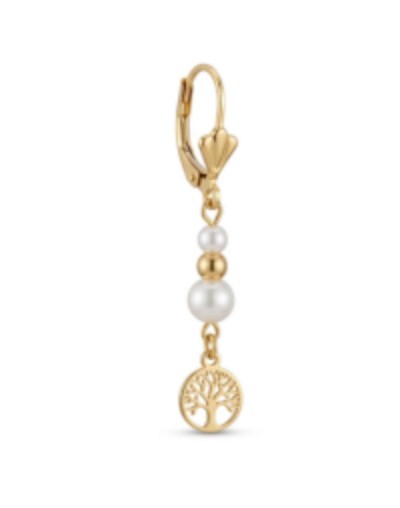 Aretes largo dije vario