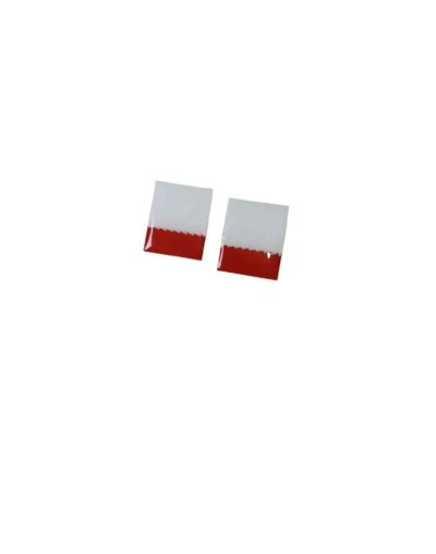 Aretes Eternos Bicolor