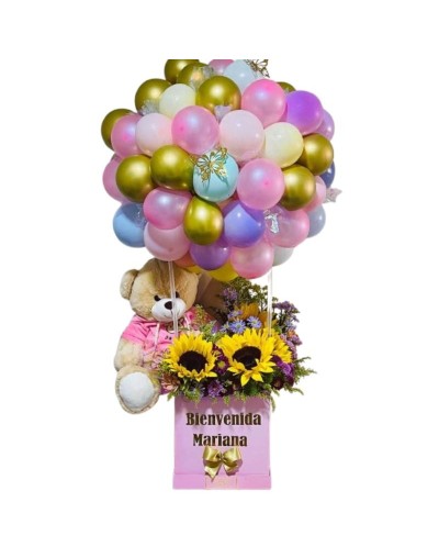 🎈🌸🧸 Ancheta Premium Tipo Globo Aerostático Gigante y flores