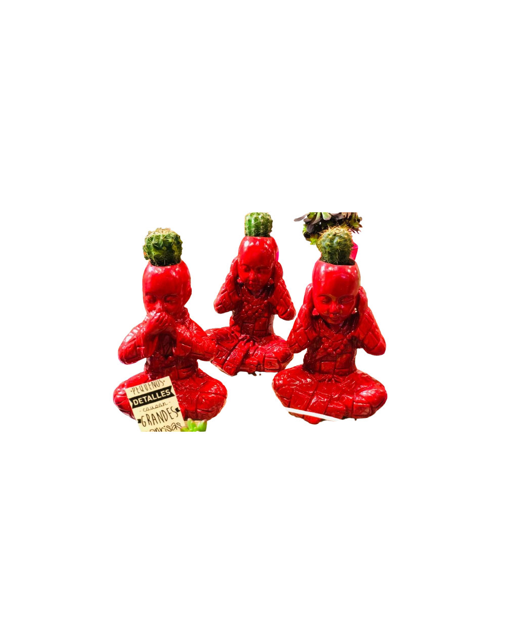 Ceramica decorativa de las tres gracias con suculentas