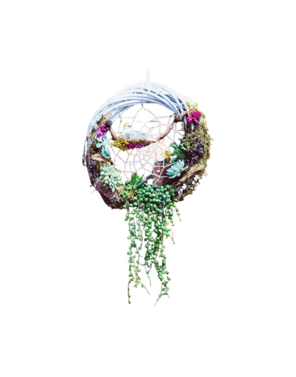 Atrapasueños composición natural de suculentas y decoración con pájaros tipo jardín 