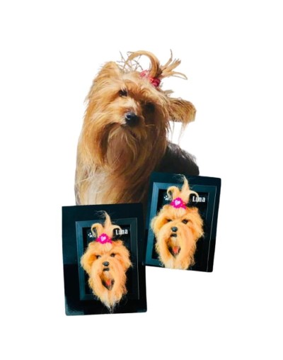 Retrato de mascota en tecnica felting needle