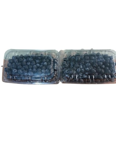 Arandanos organicos 500gr